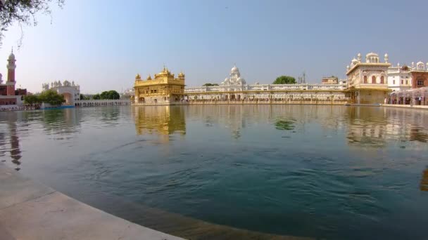 사원은 Amritsar 펀자브 인도의 도시에 위치한 Gurdwara입니다 — 비디오
