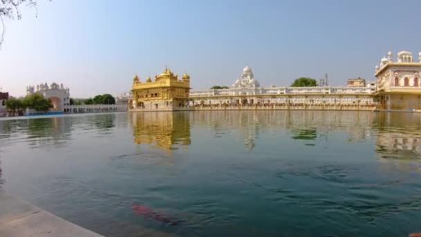 Det Gyllene Templet Gurdwara Som Ligger Staden Amritsar Punjab Indien — Stockvideo