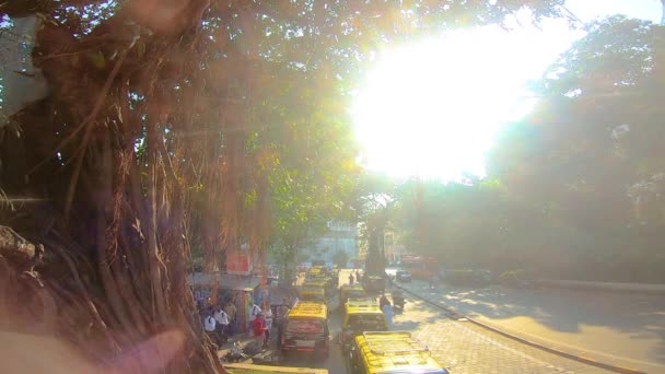 孟买达尔山巴士 — 图库视频影像