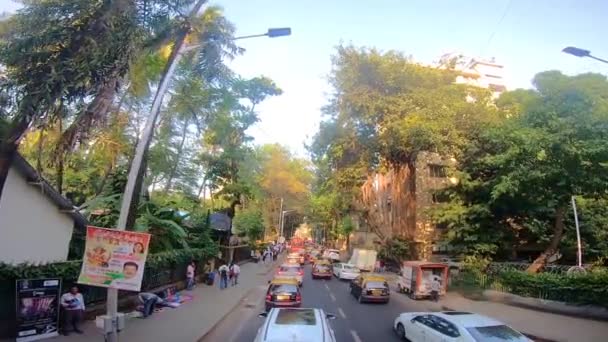 Mumbai Darshan Dan Çifte Ördek Otobüsü — Stok video