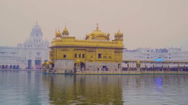 Golden Temple Amritsar India Sri Harimandir Sahib Amritsar Celebrate Gurupurab — Stock Video