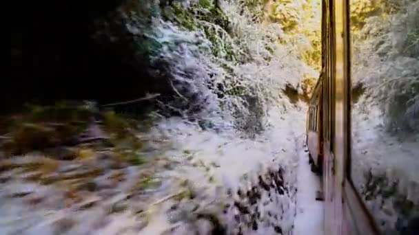 Trem Brinquedo Shimla Após Queda Neve Trem Histórico Caminho Shimla — Vídeo de Stock