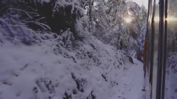 Hračkový Vlak Shimla Sněžení Historický Vlak Cestě Shimla Unesco World — Stock video