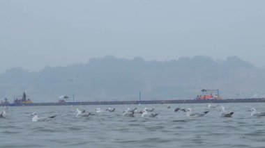 Maha Kumbh Mela Duası