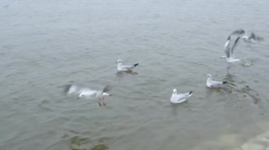 Maha Kumbh Mela Duası