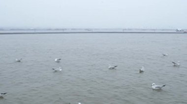 Maha Kumbh Mela Duası