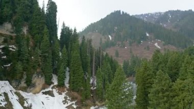 Doodhpathri 'nin Hava Görüntüsü, Jammu ve Kashmir' in Budgam Bölgesi, Hindistan.