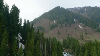 Doodhpathri 'nin Hava Görüntüsü, Jammu ve Kashmir' in Budgam Bölgesi, Hindistan.