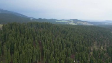 Doodhpathri 'nin Hava Görüntüsü, Jammu ve Kashmir' in Budgam Bölgesi, Hindistan.