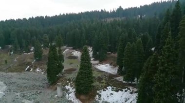 Doodhpathri 'nin Hava Görüntüsü, Jammu ve Kashmir' in Budgam Bölgesi, Hindistan.