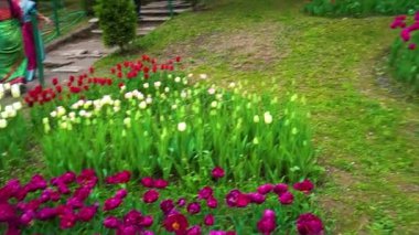 Indira Gandhi Anıt Lale Bahçesi, Srinagar 'da bir lale bahçesi.