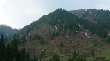 Doodhpathri 'nin Hava Görüntüsü, Jammu ve Kashmir' in Budgam Bölgesi, Hindistan.