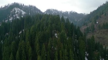 Doodhpathri 'nin Hava Görüntüsü, Jammu ve Kashmir' in Budgam Bölgesi, Hindistan.