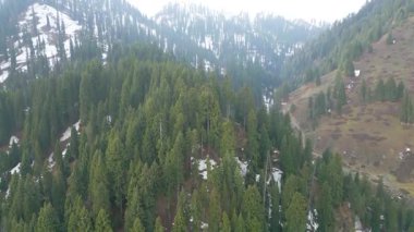Doodhpathri 'nin Hava Görüntüsü, Jammu ve Kashmir' in Budgam Bölgesi, Hindistan.