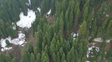 Doodhpathri 'nin Hava Görüntüsü, Jammu ve Kashmir' in Budgam Bölgesi, Hindistan.