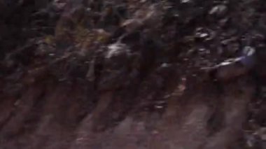 Güzel Hint Demiryolu Seyahati MP, Hindistan