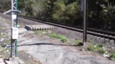 Güzel Hint Demiryolu Seyahati MP, Hindistan