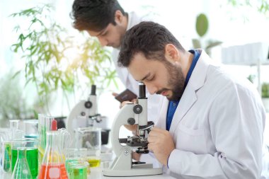 Biyoloji araştırmacısı ve bilim adamı ekibi laboratuvarda biyoteknoloji deneyi yapıyor. Bilim adamı mikroskop kullanarak bir bilim örneğini inceliyor.. 