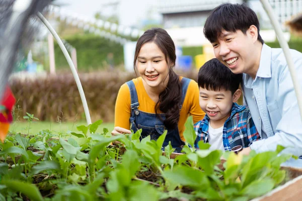 快乐的亚洲家庭父亲 母亲和儿子在花卉和植物园里摆姿势拍照 快乐的亚洲家庭在花卉植物园一起做周末活动的画像 — 图库照片