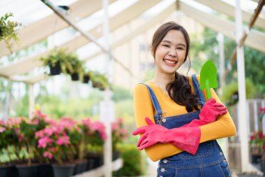 Mutlu Asyalı kadın botanikçi ya da bahçıvan elinde kürekle kollarını kavuşturup kameraya gülümsüyor. Güzel Asyalı kadın, küçük bir çiçekleri ekiyor ve suluyor..