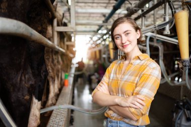 Mutlu beyaz beyaz kadın çiftçi inek çiftliğinde dikilirken kollarını kavuşturup kameraya gülümsüyor. Kadın veteriner ya da veteriner çiftlik hayvanlarını teftiş ediyor..