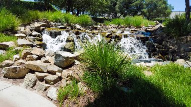 Parkta kayalar ve otlarla dolu bir şelale.