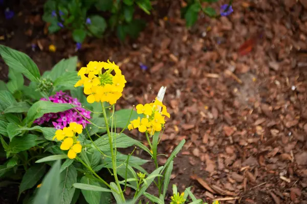 Bahçede bir demet çiçek ve saman.