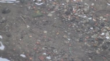 Sokaklara yağmur yağdığında çekilen yağmur damlalarının videosu sokaklarda su birikintilerine neden oluyor.