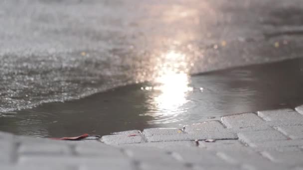 Vídeo Gotas Lluvia Tomadas Cuando Llueve Las Calles Que Provoca — Vídeos de Stock