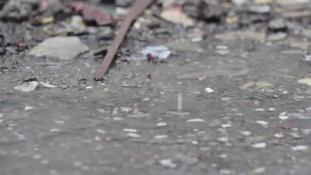 Sokaklara Yağmur Yağdığında Çekilen Yağmur Damlalarının Videosu Sokaklarda Birikintilerine Neden — Stok video