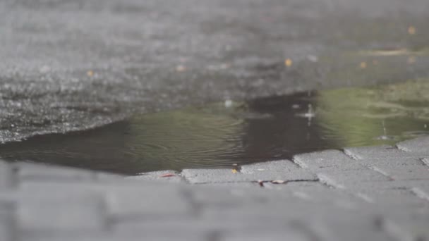 Vídeo Gotas Lluvia Tomadas Cuando Llueve Las Calles Que Provoca — Vídeos de Stock
