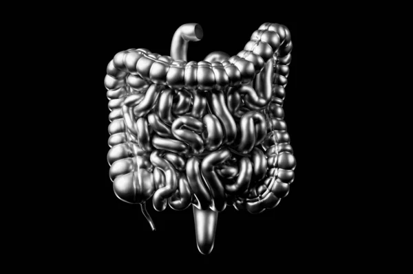 Illustration Human Intestine Made Metal Large Small Intestine Isolated White — Stock Photo, Image