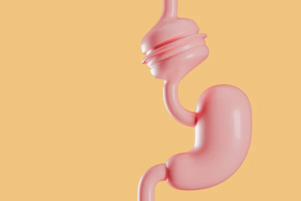 Ilustración Estómago Humano Con Hamburguesa Atascada Concepto Alimentación Saludable — Foto de Stock