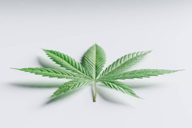 3 boyutlu marihuana yaprağı, beyaz üzerine izole edilmiş, seçici odak noktası Bokeh. Beyaz arkaplanda kenevir yaprağının stüdyo görüntüsü