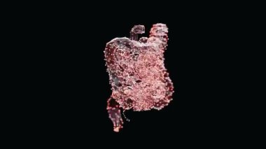 Koyu arkaplan üzerinde canlı, düşük polinörikli bağırsak çevirme tablosunun 3 boyutlu animasyonu. Işık noktalarından yapılmış insan bağırsağı teli. Kusursuz döngü özelliği olan video