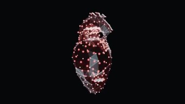 Karanlık arka planda canlı, düşük polimerli bir kalbin üç boyutlu animasyonu. Işık noktalarından yapılmış kalp teli. Kusursuz döngü özelliği olan video