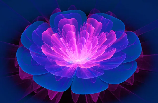 Soyut Fraktal Çiçek Bilgisayar Tarafından Oluşturulan Görüntü — Stok fotoğraf