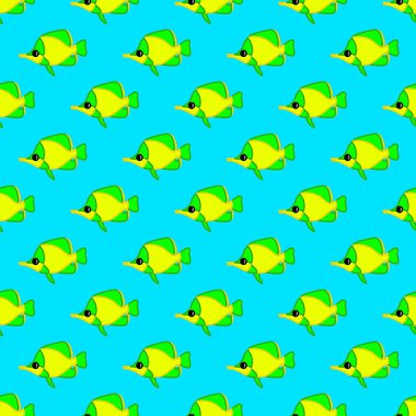 Mercan resifi balığının kusursuz deseni