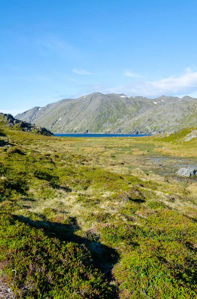 Bela Natureza Por Falkberg Bay Ilha Mageroya Norte Noruega — Fotografia de Stock