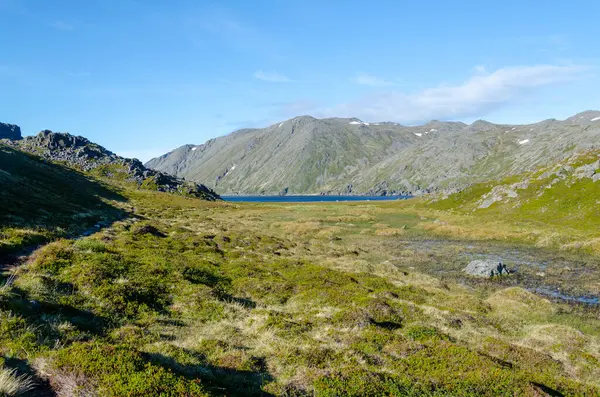 Belle Nature Par Falkberg Bay Sur Île Mageroya Dans Nord — Photo