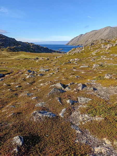 挪威北部马格洛亚岛福克兰贝格湾美丽的大自然 — 图库照片