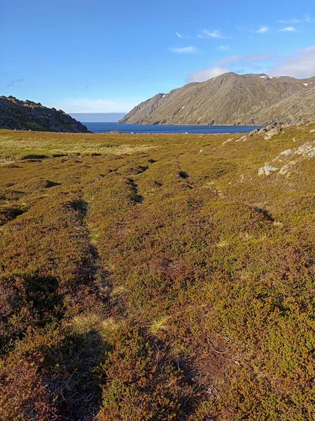 Hermosa Naturaleza Falkberg Bay Isla Mageroya Norte Noruega — Foto de Stock