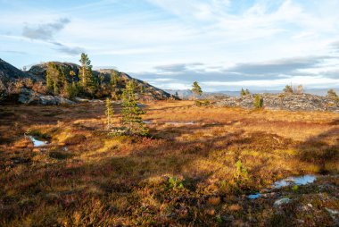 Alta, Finnmark, Norveç 'te Hjemmeluft çevresinde sonbahar doğası