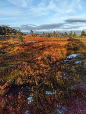 Alta, Finnmark, Norveç 'te Hjemmeluft çevresinde sonbahar doğası