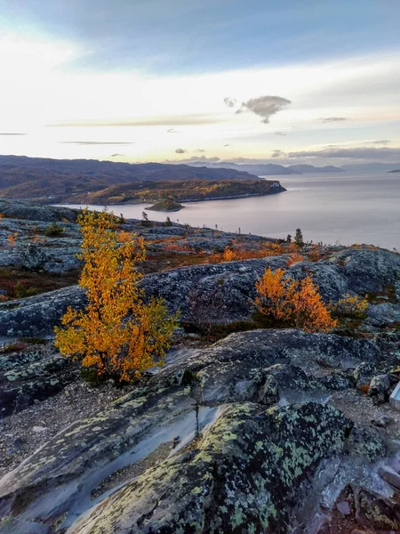 Příroda Okolí Hjemmeluft Výhledem Altafjorden Finnmark Norsko — Stock fotografie