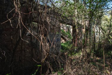 Trunecek Mill Harabeleri (Trunekv Mln), Prag, Çek Cumhuriyeti Urbex