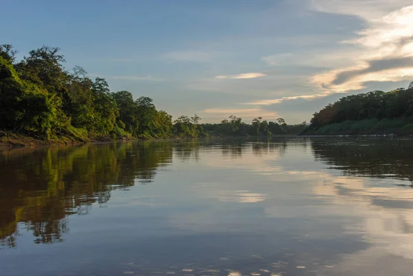 Malajská Džungle Odráží Řece Kinabatangan Borneo Sabah Malajsie Stock Snímky