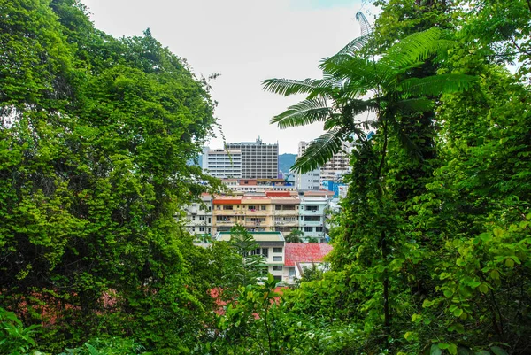 Vue Ville Kota Kinabalu Depuis Tour Observatoire Signal Hill Sabah — Photo