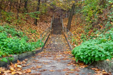 Sonbaharda renkli yapraklarla kaplı bir parkta merdivenler