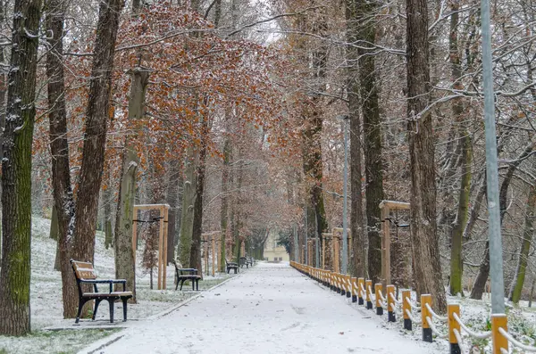 stock image Santoska Park in Prague, the Czech Republic, covered in snow in the winter